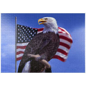 Darstellung des Puzzle-Motivs Weißkopfseeadler vor Amerikanischer Flagge, USA – Puzzleteile: 1000