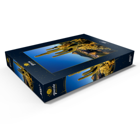 Alternative Darstellung des Puzzle-Motivs Kakteen am Pinnacle Peak, Scottsdale, Arizona – Puzzleteile: 1000