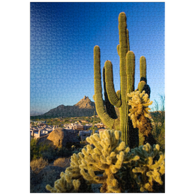 Darstellung des Puzzle-Motivs Kakteen am Pinnacle Peak, Scottsdale, Arizona – Puzzleteile: 1000