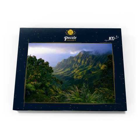 Na Pali Küste, Insel Kauai, Hawaii, USA 100 Puzzle Schachtel Ansicht3