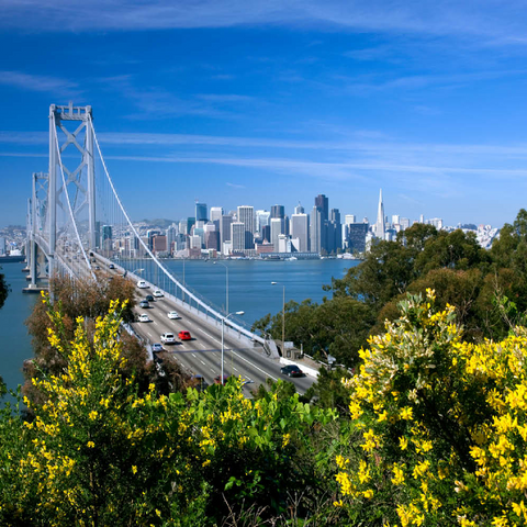 Bay Bridge mit Skyline, San Francisco, Kalifornien, USA 100 Puzzle 3D Modell