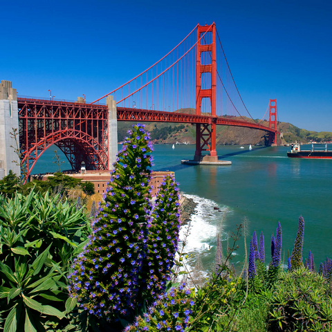 San Francisco Bay mit Golden Gate Bridge und Fort Point National Historic Site, San Francisco, Kalifornien, USA 1000 Puzzle 3D Modell