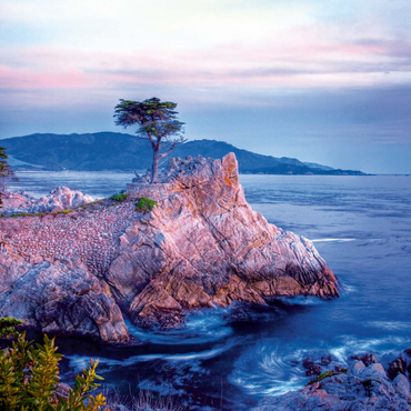 Lonely Cypress, Monterey Zypresse an der Pazifikküste bei Carmel 1000 Puzzle 3D Modell