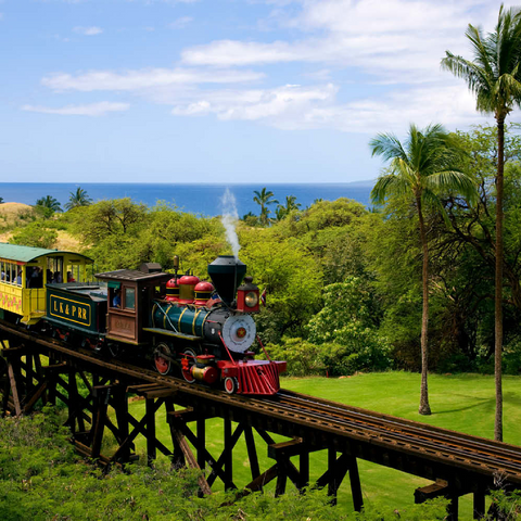 Sugar Cane Train bei Ka'anapali, Insel Maui, Hawaii, USA 100 Puzzle 3D Modell