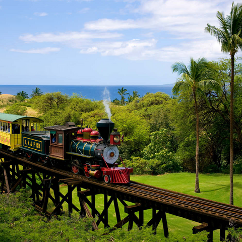 Sugar Cane Train bei Ka'anapali, Insel Maui, Hawaii, USA 500 Puzzle 3D Modell