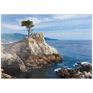 puzzleplate Monterey Zypresse (Lone Cypress) an der Pazifikküste bei 1000 Puzzle