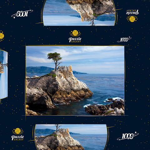 Monterey Zypresse (Lone Cypress) an der Pazifikküste bei 1000 Puzzle Schachtel 3D Modell