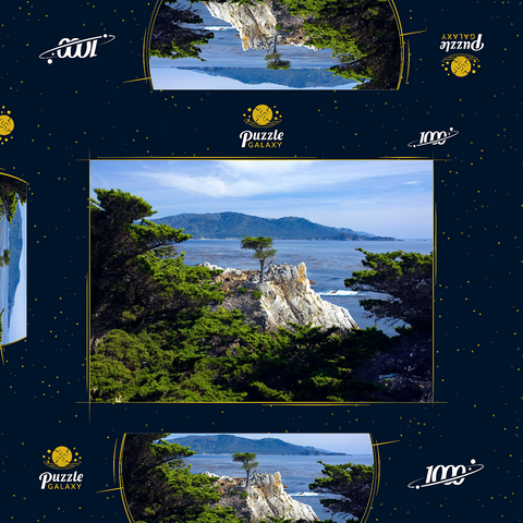 Monterey Zypresse (Lone Cypress) an der Pazifikküste bei 1000 Puzzle Schachtel 3D Modell