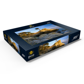 Alternative Darstellung des Puzzle-Motivs Monterey Zypresse (Lone Cypress) in der Dämmerung – Puzzleteile: 1000