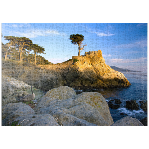 puzzleplate Monterey Zypresse (Lone Cypress) an der Pazifikküste bei 1000 Puzzle