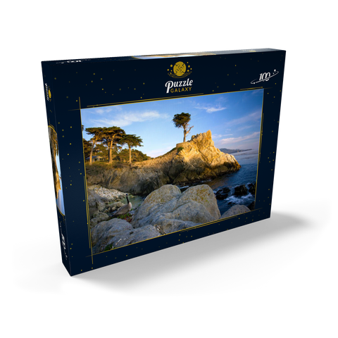 Monterey Zypresse (Lone Cypress) an der Pazifikküste bei 100 Puzzle Schachtel Ansicht2