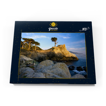 Monterey Zypresse (Lone Cypress) an der Pazifikküste bei 100 Puzzle Schachtel Ansicht3