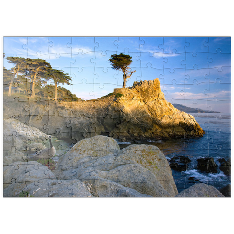 puzzleplate Monterey Zypresse (Lone Cypress) an der Pazifikküste bei 100 Puzzle