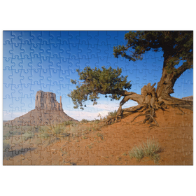 Darstellung des Puzzle-Motivs Baum im Monument Valley, Navajo Tribal Park, Arizona, USA – Puzzleteile: 200