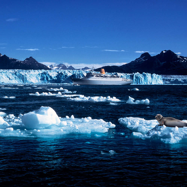 Kreuzfahrtschiff vor dem Columbia Gletscher, Prince William Sound, Alaska, USA 500 Puzzle 3D Modell