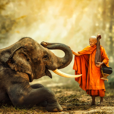 Mönch Wandern mit dem schicken Elefanten im Wald. 1000 Puzzle 3D Modell