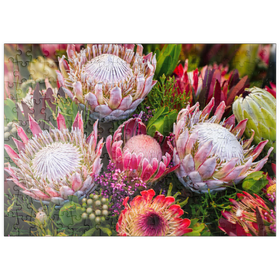 Darstellung des Puzzle-Motivs Protea - Zuckerbüsche – Puzzleteile: 200