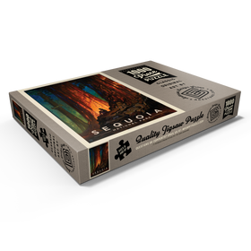 Darstellung des Puzzle Motivs Sequoia National Park: Nature's Cathedral - Puzzleteile: 1000