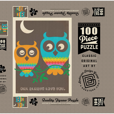 Mod Rainbow Owls 100 Puzzle Schachtel 3D Modell