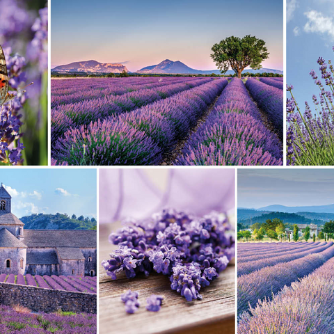 Lavendelfelder in der Provence bei Valensole 100 Puzzle 3D Modell