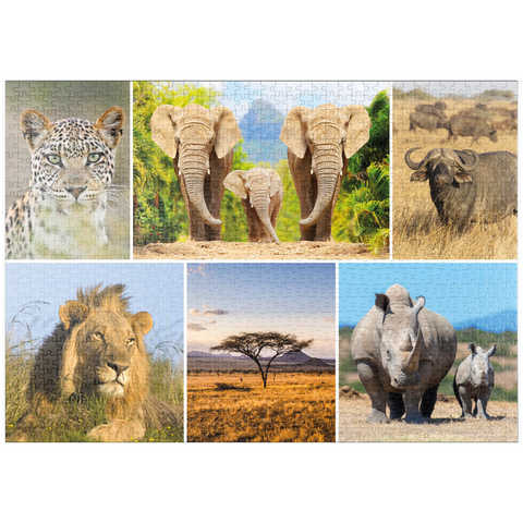 puzzleplate Afrika-Safari - Löwe, Elefant, Leopard, Nashorn, Büffel 1000 Puzzle