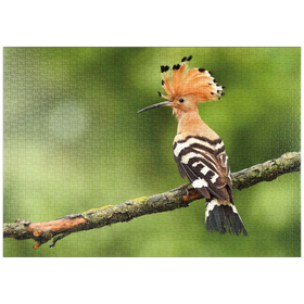 Darstellung des Puzzle Motivs Wiedehopf - Vogel des Jahres 2022 - Puzzleteile: 1000