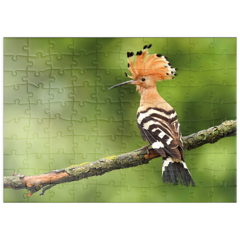 puzzleplate Wiedehopf - Vogel des Jahres 2022 100 Puzzle