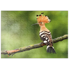 Darstellung des Puzzle Motivs Wiedehopf - Vogel des Jahres 2022 - Puzzleteile: 100