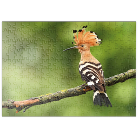 Darstellung des Puzzle Motivs Wiedehopf - Vogel des Jahres 2022 - Puzzleteile: 200