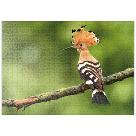 Darstellung des Puzzle Motivs Wiedehopf - Vogel des Jahres 2022 - Puzzleteile: 500