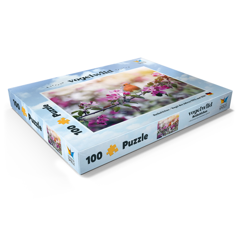 Rotkehlchen - Vogel des Jahres 2021 100 Puzzle Schachtel Ansicht1