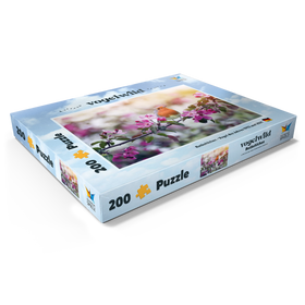 Alternative Darstellung des Puzzle-Motivs Rotkehlchen - Vogel des Jahres 2021 – Puzzleteile: 200