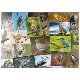 Darstellung des Puzzle-Motivs Vögel des Jahres - Collage Nr.1 - Deutschland – Puzzleteile: 1000