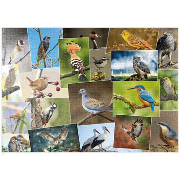 puzzleplate Vögel des Jahres - Collage Nr.1 - Deutschland 1000 Puzzle