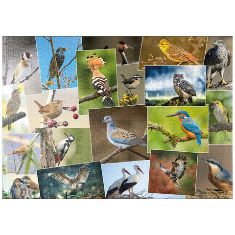 puzzleplate Vögel des Jahres - Collage Nr.1 - Deutschland 1000 Puzzle