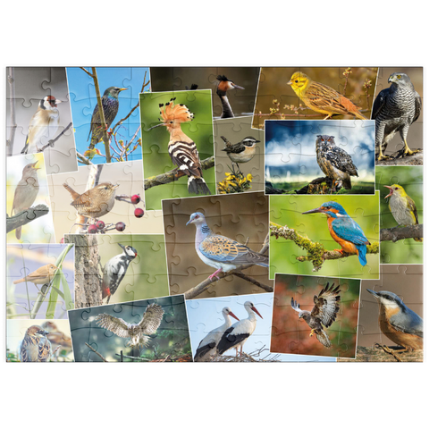 puzzleplate Vögel des Jahres - Collage Nr.1 - Deutschland 100 Puzzle