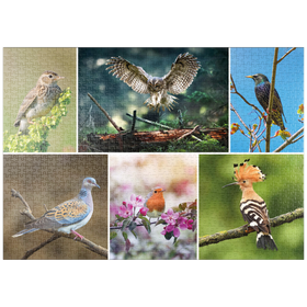 Darstellung des Puzzle Motivs Vögel des Jahres - Collage Nr.2 - Deutschalnd - Puzzleteile: 1000