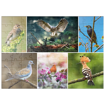 puzzleplate Vögel des Jahres - Collage Nr.2 - Deutschalnd 100 Puzzle