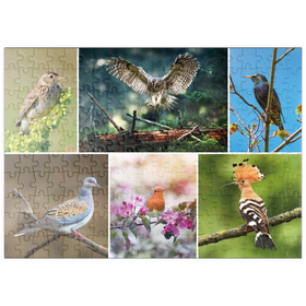 Darstellung des Puzzle-Motivs Vögel des Jahres - Collage Nr.2 - Deutschalnd – Puzzleteile: 200