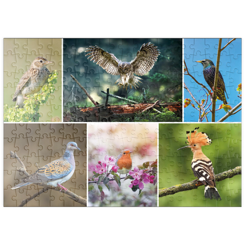 puzzleplate Vögel des Jahres - Collage Nr.2 - Deutschalnd 200 Puzzle