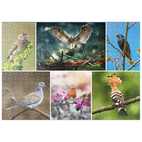 Darstellung des Puzzle-Motivs Vögel des Jahres - Collage Nr.2 - Deutschalnd – Puzzleteile: 500