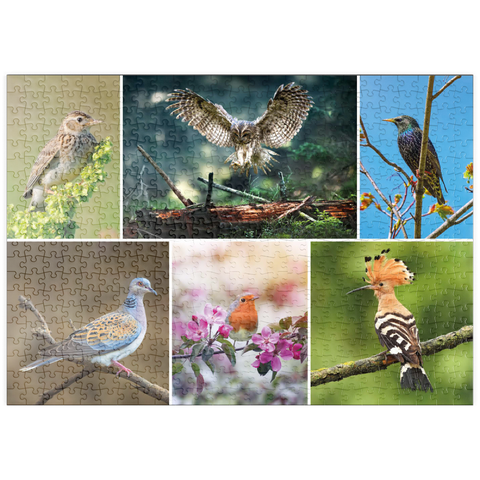 puzzleplate Vögel des Jahres - Collage Nr.2 - Deutschalnd 500 Puzzle
