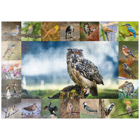 Darstellung des Puzzle-Motivs Vögel des Jahres - Collage Nr.3 - Hauptmotiv: Uhu – Puzzleteile: 1000