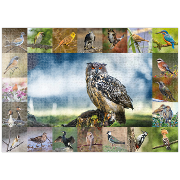 puzzleplate Vögel des Jahres - Collage Nr.3 - Hauptmotiv: Uhu 1000 Puzzle