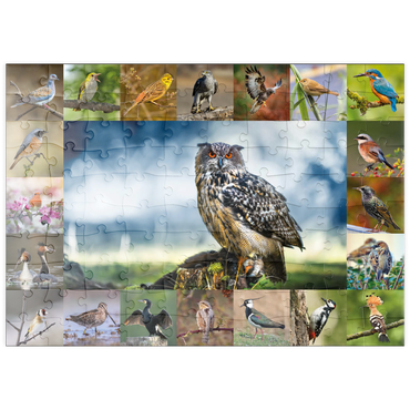 puzzleplate Vögel des Jahres - Collage Nr.3 - Hauptmotiv: Uhu 100 Puzzle