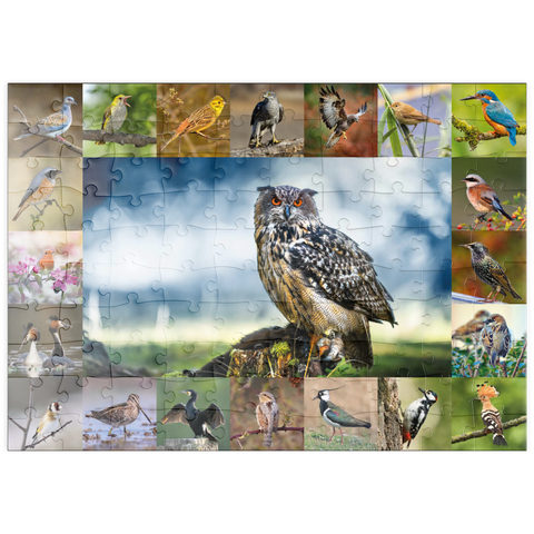 puzzleplate Vögel des Jahres - Collage Nr.3 - Hauptmotiv: Uhu 100 Puzzle