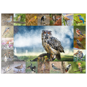 Darstellung des Puzzle-Motivs Vögel des Jahres - Collage Nr.3 - Hauptmotiv: Uhu – Puzzleteile: 200