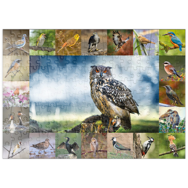 puzzleplate Vögel des Jahres - Collage Nr.3 - Hauptmotiv: Uhu 200 Puzzle