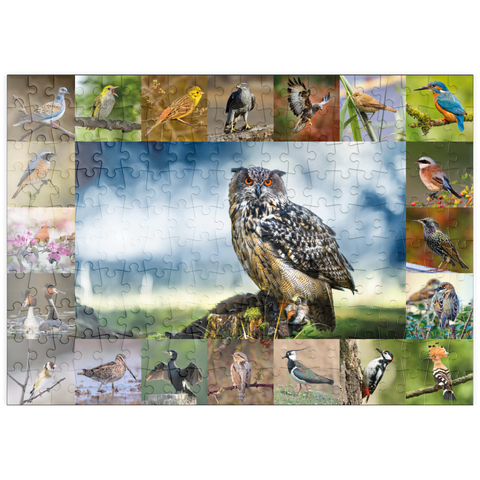 puzzleplate Vögel des Jahres - Collage Nr.3 - Hauptmotiv: Uhu 200 Puzzle