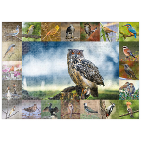 Darstellung des Puzzle-Motivs Vögel des Jahres - Collage Nr.3 - Hauptmotiv: Uhu – Puzzleteile: 500